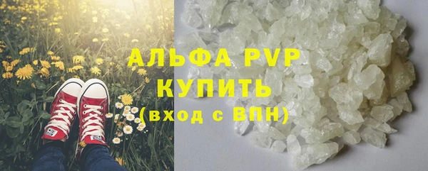 стаф Каменск-Шахтинский