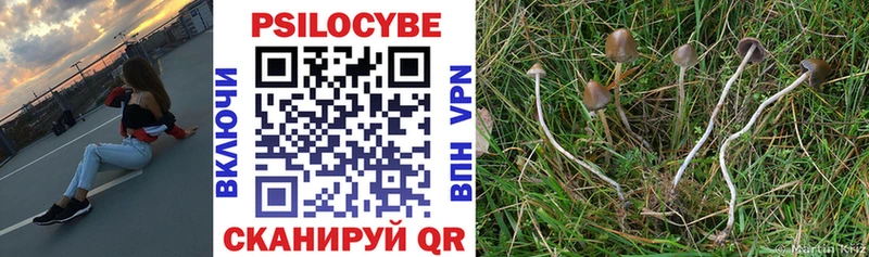дарнет шоп  Серпухов  Галлюциногенные грибы GOLDEN TEACHER 